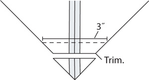 corrected illustration